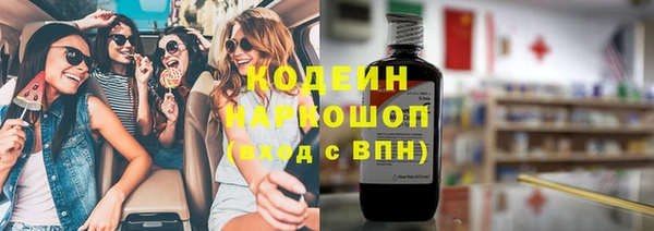хмурый Алексин