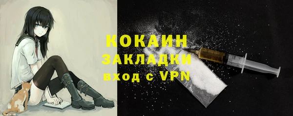 хмурый Алексин