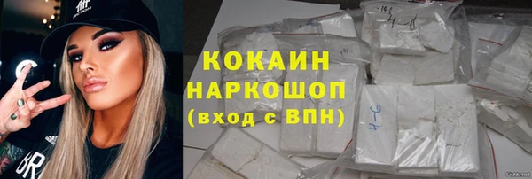 хмурый Алексин
