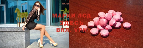 хмурый Алексин