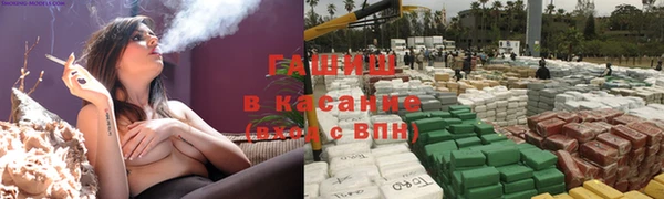хмурый Алексин