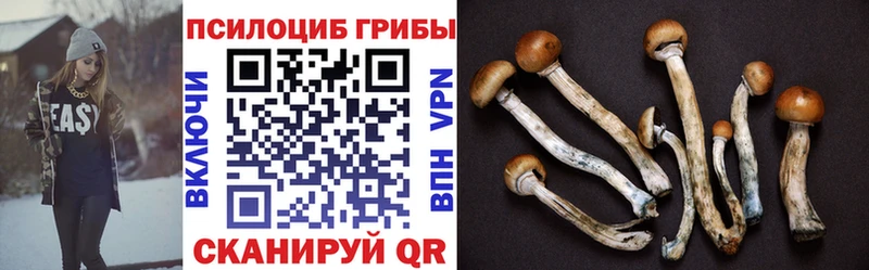 Галлюциногенные грибы MAGIC MUSHROOMS  купить наркотик  Бикин 